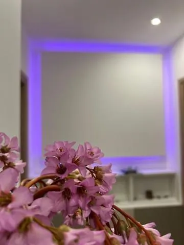 Enjoy Lingotto - Fiere- Metropolitana- Ospedali Cto-regina Marg,museo * Turin