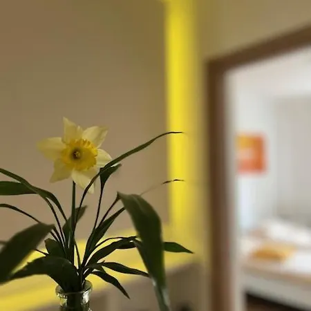 Apartamento Enjoy Lingotto - Fiere- Metropolitana- Ospedali Cto-regina Marg,museo